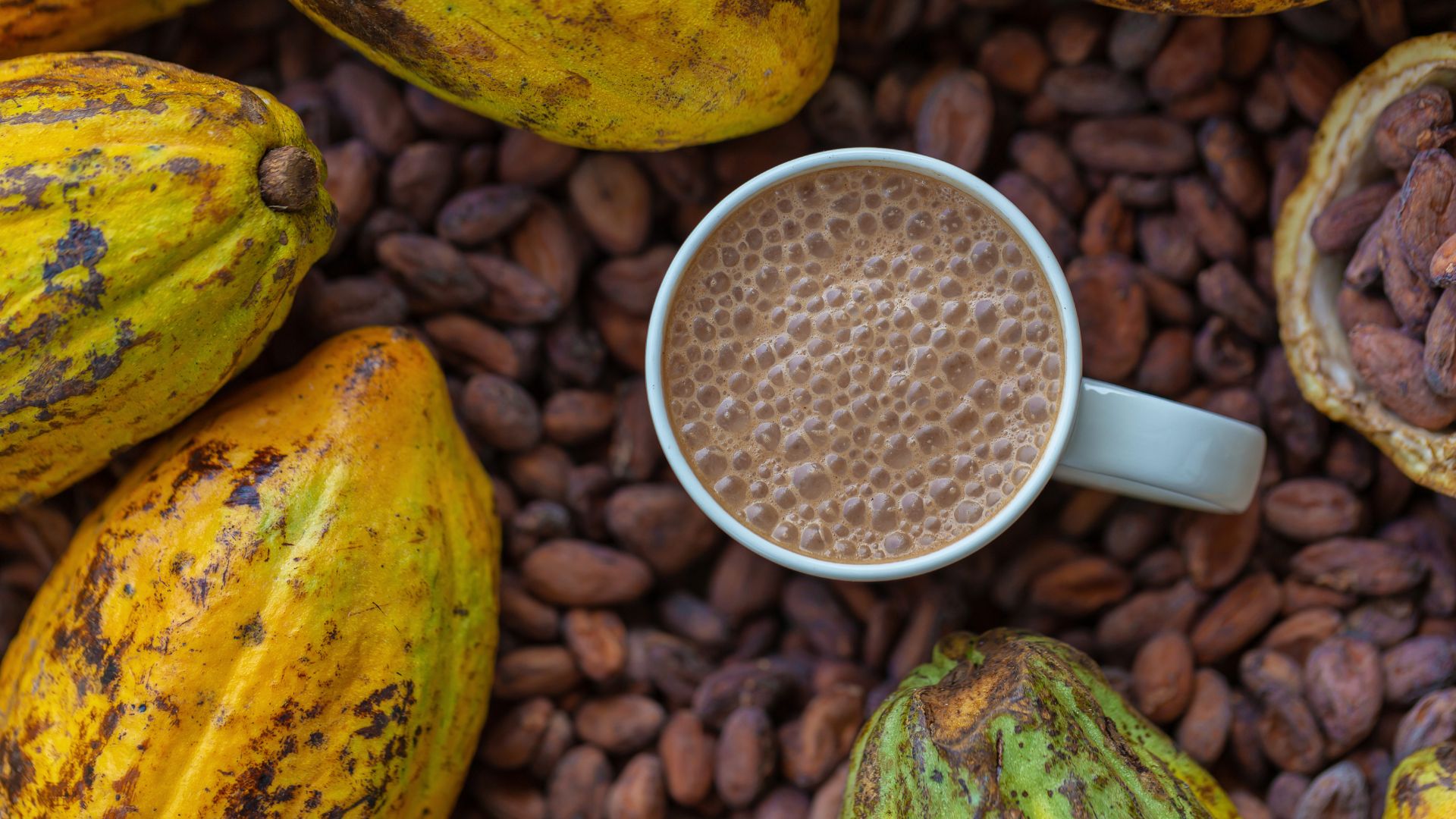 Cacao e Caffè- l’aroma del futuro - Verona - Eccellenze Sostenibili